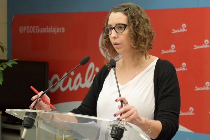 El PSOE reprocha a Román su desinterés por los problemas del servicio de Cercanías