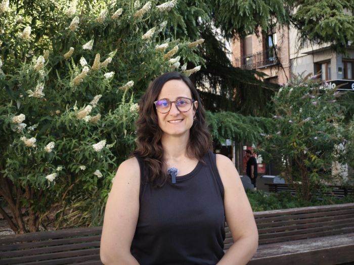 El PSOE pide a Guarinos “que no engañe y hable de proyecto del Alcázar, cuando no está redactado y en dos años sólo tienen una idea”