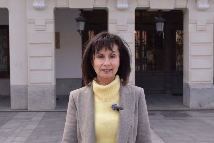 El PSOE critica que los recortes de Guarinos en mantenimiento de calles tengan la ciudad llena de agujeros y exige que se actúe cuanto antes